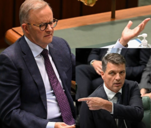 “Temu Trotsky” Concedes “Aldi Abbott” Would Have Been Catchier
